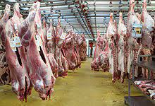 Veal Nutrition