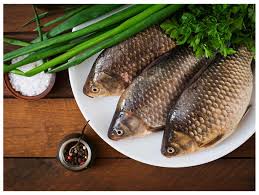 Fish